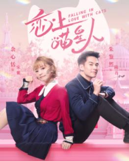 阿尔的派对夜